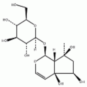 DH0059	哈巴苷	6926-08-5	 HPLC≥98%	20mg/支  分析标准品/对照品