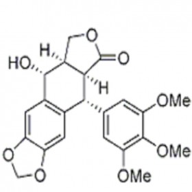 DK0031	苦鬼臼毒素	477-47-4	HPLC≥98% 	20mg/支 中药对照品 标准品