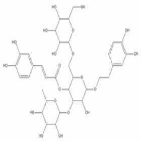 松果菊苷82854-37-3 HPLC≥98% 20mg/支 分析标准品/对照品