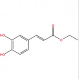 咖啡酸乙酯102-37-4 HPLC≥98%  20mg/支 分析标准品/对照品