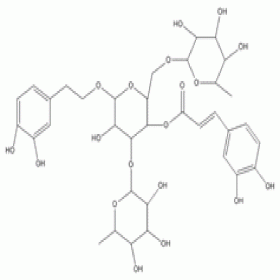 金石蚕苷 94079-81-9	HPLC≥98% 20mg/支 分析标准品/对照品