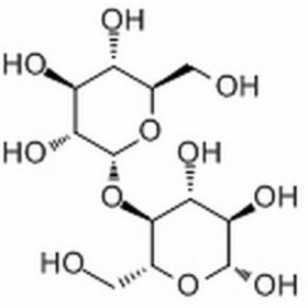 麦芽糖 6363-53-7 HPLC≥98% 20mg/支 分析标准品/对照品