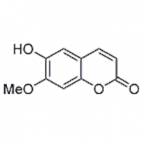 【乐美天】异东莨 菪内酯  HPLC≥98%  20mg/支 分析标准品/对照品