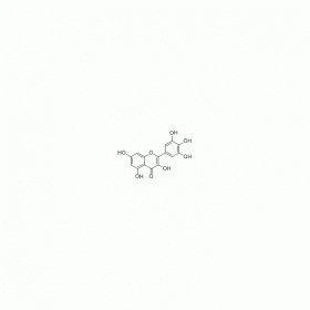 【乐美天】杨梅素  CAS No：529-44-2  HPLC≥98%	 20mg/支 分析标准品/对照品