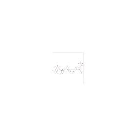 【乐美天】Acanthopanaxoside B   CAS No：915792-03-9  HPLC≥98%  10mg/支  中药对照品标准品