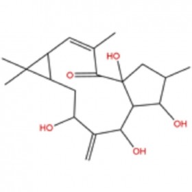 【乐美天】7-羟基千金子二萜醇  34208-98-5   HPLC≥98%   20mg/支标准品/对照品