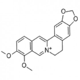 【乐美天】小檗碱  2086-83-1 HPLC≥98%  20mg/支分析标准品/对照品