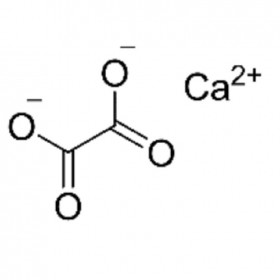 【乐美天】草酸钙 563-72-4	HPLC≥99%	25g/支 分析标准品/对照品