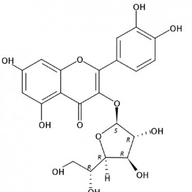 【乐美天】槲皮素-3-O-葡萄糖苷 21637-25-2  HPLC≥98%   20mg/支对照品标准品