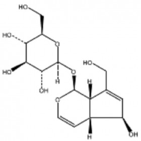 【乐美天】桃叶珊瑚苷 CAS号：479-98-1 HPLC≥98%  20mg/支中药对照品标准品