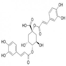 【乐美天】1,4-二咖啡酰奎宁酸  1182-34-9  HPLC≥98%  5mg/支分析标准品对照品