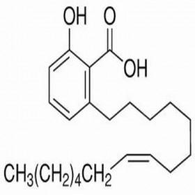 【乐美天】银杏酚酸（15:1） 22910-60-7  HPLC≥98%   20mg/支标准品对照品