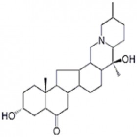 裕贝甲素HPLC≥98% 20mg/支分析标准品/对照品