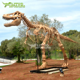大型仿真恐龙骨架动物化石模型树脂工艺品摆件公园景区博物馆