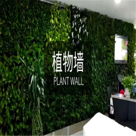 植物墙造景 永生苔藓 室内仿真