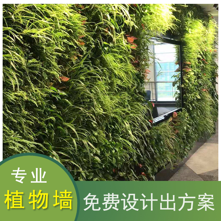 苔藓植物墙 厂家定制 新乡室内苔藓植物墙 绿植墙设计 成都私家花园造景