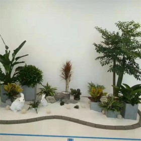 字楼办公室鲜花绿植租赁 大中小型盆景 盆栽适用于各个公共场合摆放租赁