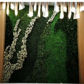 成都慢慢科技绿植墙 仿真植物墙 塑料室内外形象背景墙 规格全