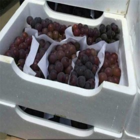 四川泡沫箱厂家 水果泡沫包装盒 水果泡沫托盘 可定制