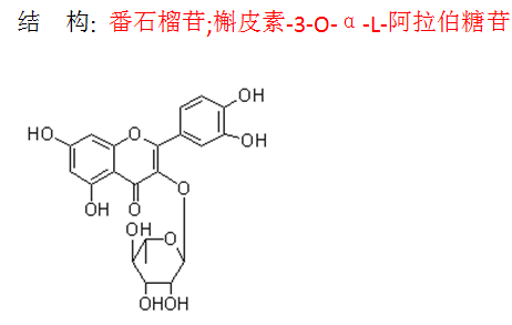 番石榴苷;槲皮素-3-O-α-L-阿拉伯糖苷
