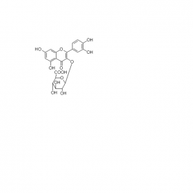 槲皮素-3-O-β-D-吡喃葡糖苷酸 曼思特高效液相制备现货上市