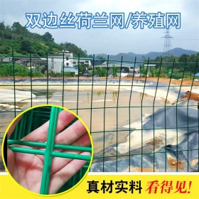 低碳钢丝双边丝护栏网 耐腐蚀 道路防护网可用 坚固耐用 支持定制