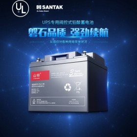 山特UPS电源电池铅酸蓄电池免维护12V38AH C12-38AH 成都代理城堡系列质保三年