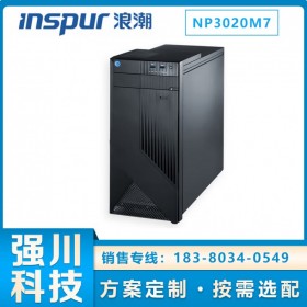 四川眉山浪潮服务器总代理 元脑NP3020M7塔式服务器 ERP/OA/财务软件/监控主机