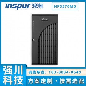 四川宜宾浪潮服务器代理商 元脑NP5070M5 双路塔式服务器 MES生产线管理系统主机