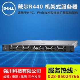 南充戴尔渠道批发_DELL R440双路1U机架式企业级应用服务器/crm服务器