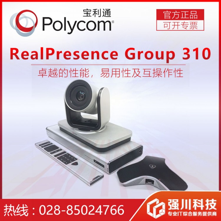 RealPresence Group 310_5