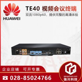 华为HUAWEI会议终端 TE40-1080P30 CloudVC 入驻式内置MCU