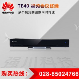 华为TE40-1080dpi 远程网络高清视频会议终端设备 支持1080p60fps双流全高清