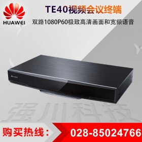巴中华为视讯系统代理 TE40-1080p30帧购买License升级到60帧 会议室集成和快速部署