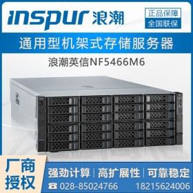 攀枝花浪潮服务器  inspur NF5466M6服务器主机 4U机架式存储服务器