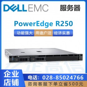 成都戴尔（DELL）服务器总代理商_PowerEdge R240升级款R250促销