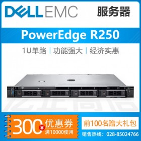 西藏戴尔服务器代理商丨DELL PowerEdge R250 用友服务器_原厂工程师推荐