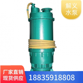 BQS20-66-22水泵 内装式电泵 厂家直销 现货供应