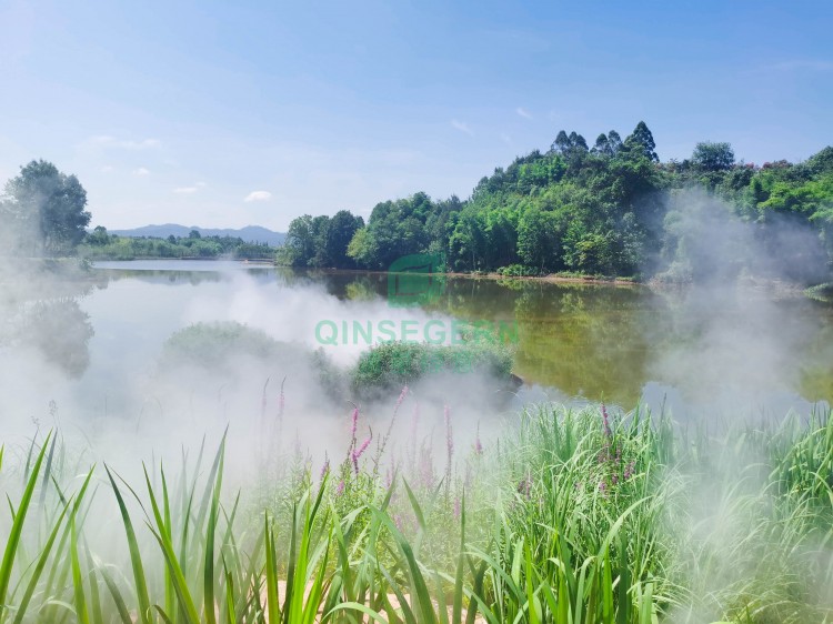 雾森系统  水景喷雾景观