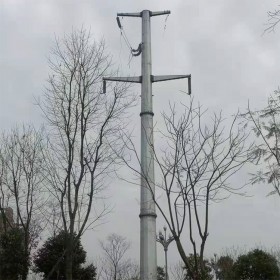 雅安5G信号塔加工 路灯杆 电力钢管柱 贴心服务 出货快