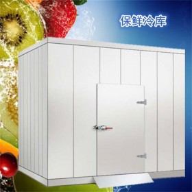 冰雪宝 小型冷库 保鲜冷冻库 家用高低温贮藏库 可定制