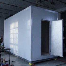 冰雪宝 小型移动冷库 冷藏集装箱 免安装一体冷库 插电即用