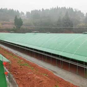 养殖大棚 蛋鸡肉鸭水产养殖  钢架质量好 农业种植畜牧养殖大棚 保温取暖棚