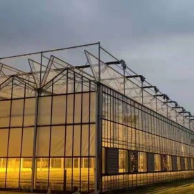 玻璃温室安装 耐腐蚀 内外遮阳 美观实用外观新颖 花卉蔬菜养殖用