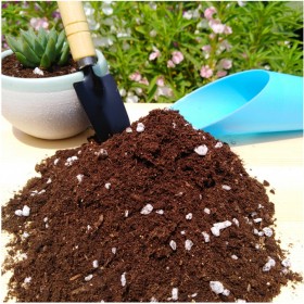 营养土 有机营养土 盆栽植物专用营养土 优质供应