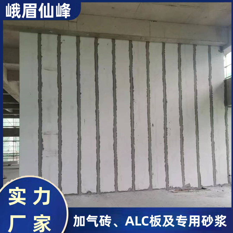 ALC板材 减震隔声板 性能稳定 适用于装配式建筑 保温隔热材料