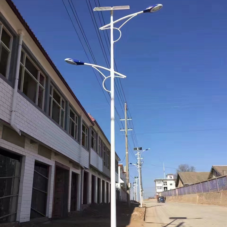 新农村太阳能路灯 75w工程道路灯 民族风特色照明灯杆
