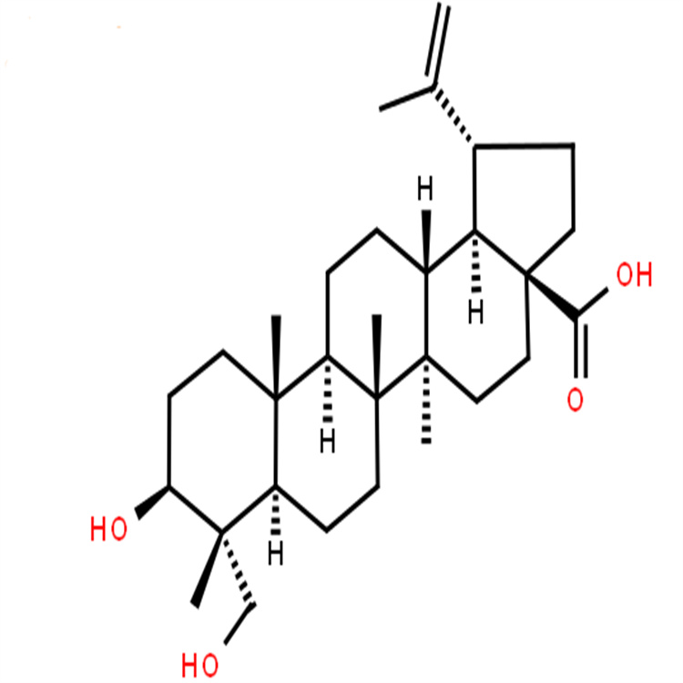 23-羟基白桦酸 85999-40-2 科研实验专用 图谱全 纯度高 对照品