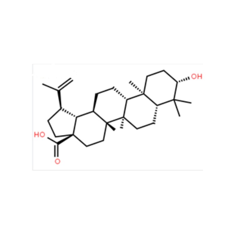 表白桦脂酸 中药对照品 8736-77-5 仅供实验 HPLC≥98%