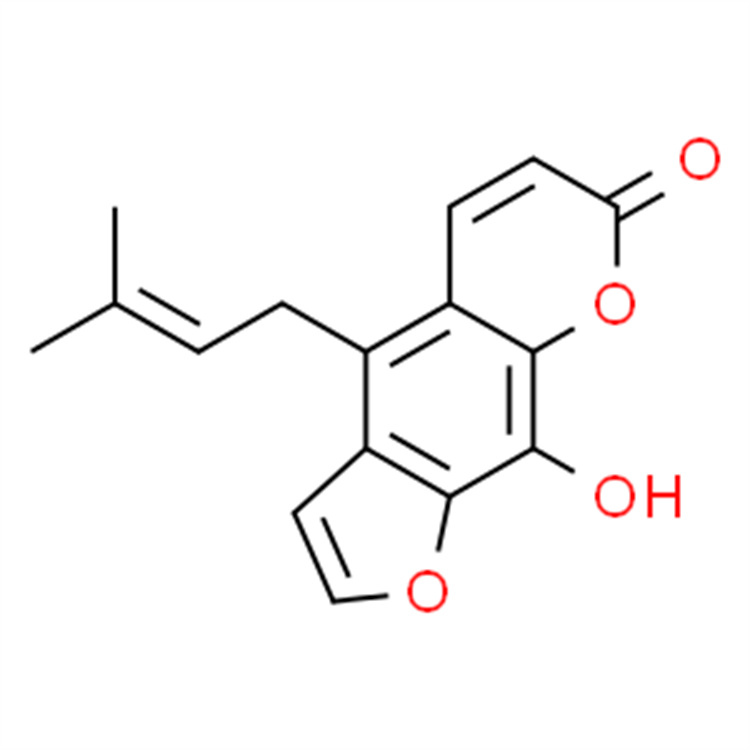 别欧前胡素 自制对照品 中检院 纯度高 科研专用